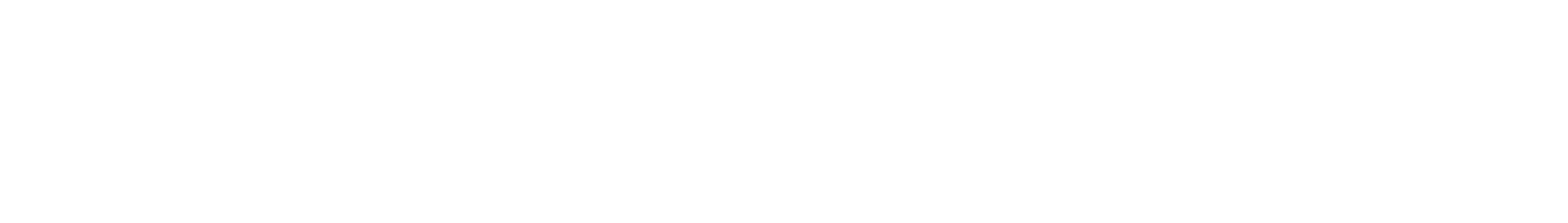 Standard Versand DHL